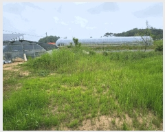  2025Ÿ��15714  �����