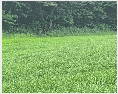  2025Ÿ��15714  �����