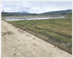  2025Ÿ15717 泲 ɽ õ 긮 663-7      (1)