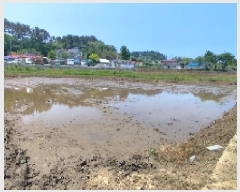  2025Ÿ15717 泲 ɽ õ 긮 663-7      (1)