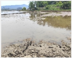  2025Ÿ15717 泲 ɽ õ 긮 663-7      (1)