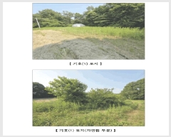  2025Ÿ��15727  ����