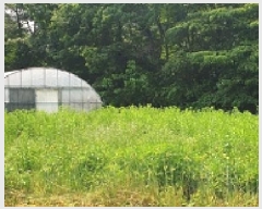  2025Ÿ��15727  ����