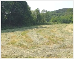  2025Ÿ��15727  ����