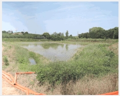  2025Ÿ��15749 �泲 ���걺 ������ ������ 1037-1      ����(��)���