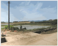  2025Ÿ��15749 �泲 ���걺 ������ ������ 1037-1      ����(��)���