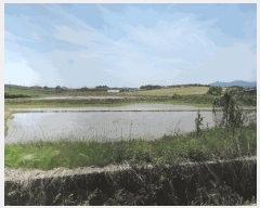  2025Ÿ��15749 �泲 ���걺 ������ ������ 1037-1      ����(��)���