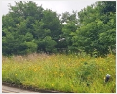  2025Ÿ��15774  �������