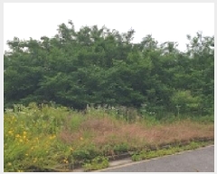  2025Ÿ��15774  �������