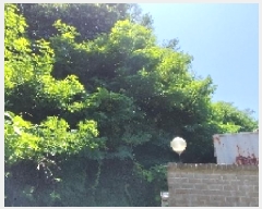  2025Ÿ��15779 �泲 ��õ�� ������ ������ 132-86      ����(�Ӿ�)���