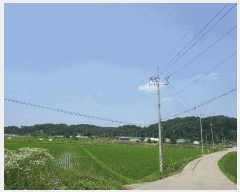  2025Ÿ��15785 �泲 ���걺 ����� ������ 160-8      ����(��)���