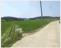  2025Ÿ��15785 �泲 ���걺 ����� ������ 160-8      ����(��)���