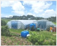  2025Ÿ��15792  ����