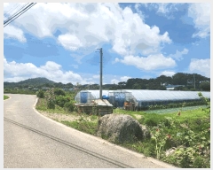  2025Ÿ��15792  ����