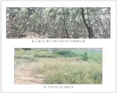  2025Ÿ��15806  �Ӿ߰��