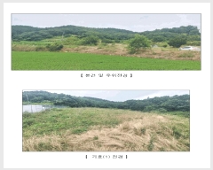  2025Ÿ��15806  �Ӿ߰��