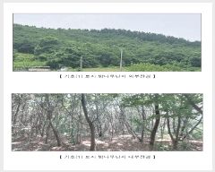  2025Ÿ��15806  �Ӿ߰��