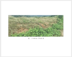  2025Ÿ��15806  �Ӿ߰��