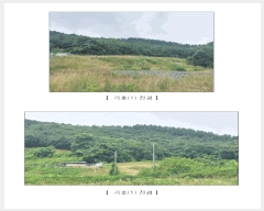  2025Ÿ��15806  �Ӿ߰��