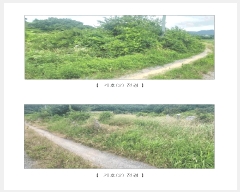  2025Ÿ��15806  �Ӿ߰��