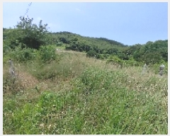  2025Ÿ��15806  �Ӿ߰��