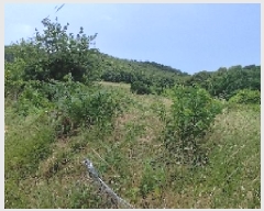  2025Ÿ��15806  �Ӿ߰��