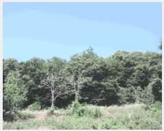  2025Ÿ��15815 �泲 ȫ���� ����� ��긮 207-3      ����(�Ӿ�)���