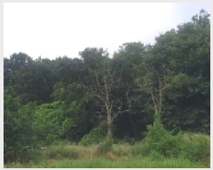  2025Ÿ��15815 �泲 ȫ���� ����� ��긮 207-3      ����(�Ӿ�)���