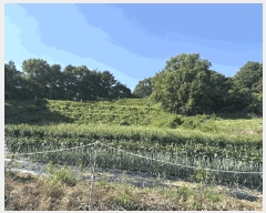  2025Ÿ��15842 �泲 ��õ�� �Ǳ��� �︲�� 609      ����(��1)���