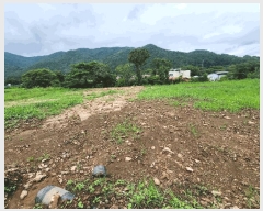  2025Ÿ��15847 �泲 ���걺 ����� ���踮 528-3      ����(��1)���