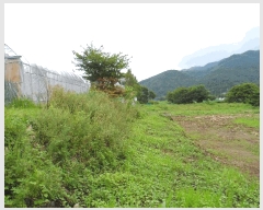  2025Ÿ��15847 �泲 ���걺 ����� ���踮 528-3      ����(��1)���