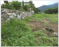  2025Ÿ��15847 �泲 ���걺 ����� ���踮 528-3      ����(��1)���