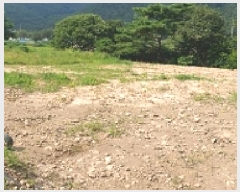  2025Ÿ��15847 �泲 ���걺 ����� ���踮 528-3      ����(��1)���