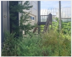  2025Ÿ��15881  ���ð��