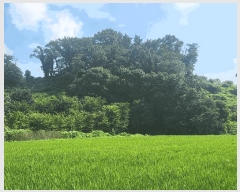  2025Ÿ��15886  �Ӿ߰��