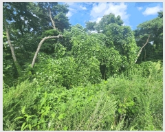  2025Ÿ��15886  �Ӿ߰��