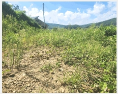  2025Ÿ��15886  �Ӿ߰��