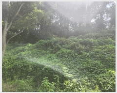  2025Ÿ��15886  �Ӿ߰��