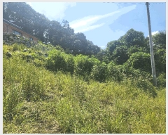  2025Ÿ��15886  �Ӿ߰��