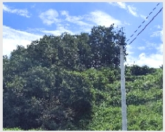  2025Ÿ��15886  �Ӿ߰��