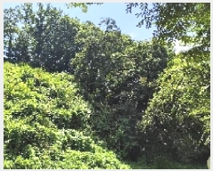  2025Ÿ��15886  �Ӿ߰��