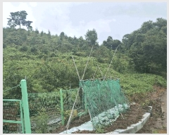  2025Ÿ��15918 �泲 ��õ�� �ѻ�� ���긮 ��26-3      ����(�Ӿ�)���