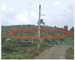  2025Ÿ��15918 �泲 ��õ�� �ѻ�� ���긮 ��26-3      ����(�Ӿ�)���