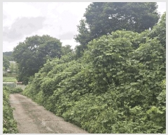  2025Ÿ��15918 �泲 ��õ�� �ѻ�� ���긮 ��26-3      ����(�Ӿ�)���