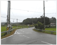  2025Ÿ��15958 �泲 ȫ���� �ݸ��� �۾ϸ� 176      ����(��1)���