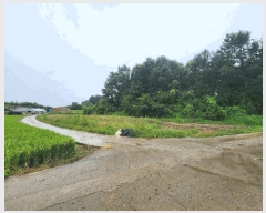  2025Ÿ��15958 �泲 ȫ���� �ݸ��� �۾ϸ� 176      ����(��1)���