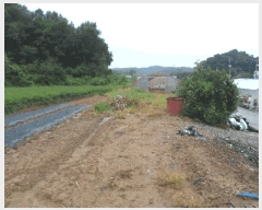  2025Ÿ��15958 �泲 ȫ���� �ݸ��� �۾ϸ� 176      ����(��1)���