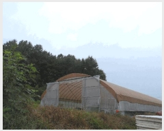  2025Ÿ��15958 �泲 ȫ���� �ݸ��� �۾ϸ� 176      ����(��1)���