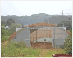  2025Ÿ��15958 �泲 ȫ���� �ݸ��� �۾ϸ� 176      ����(��1)���