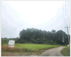  2025Ÿ��15958 �泲 ȫ���� �ݸ��� �۾ϸ� 176      ����(��1)���